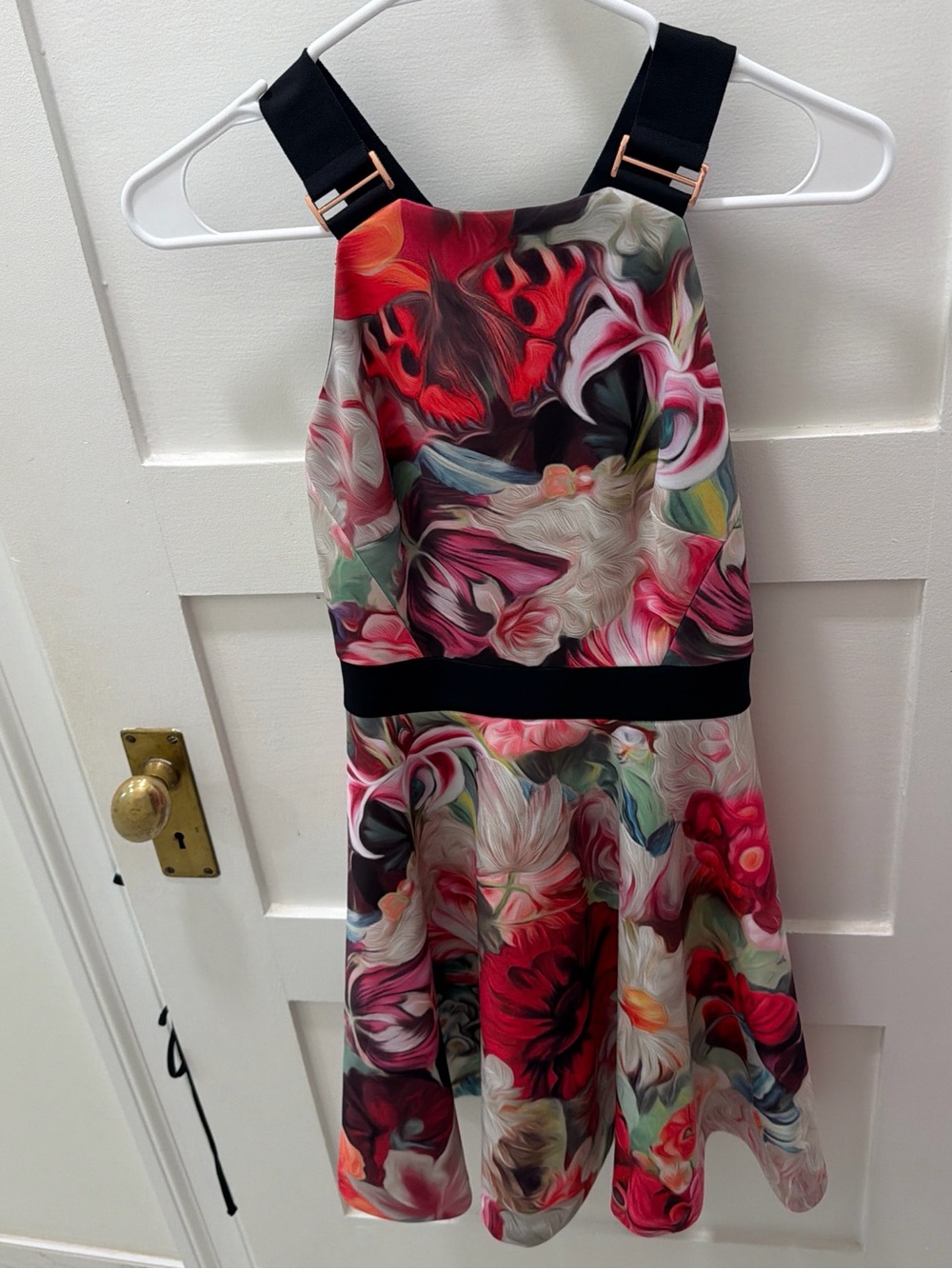 Ted Baker Floral Fit-and-Flare Dress in Pink, Red & Black